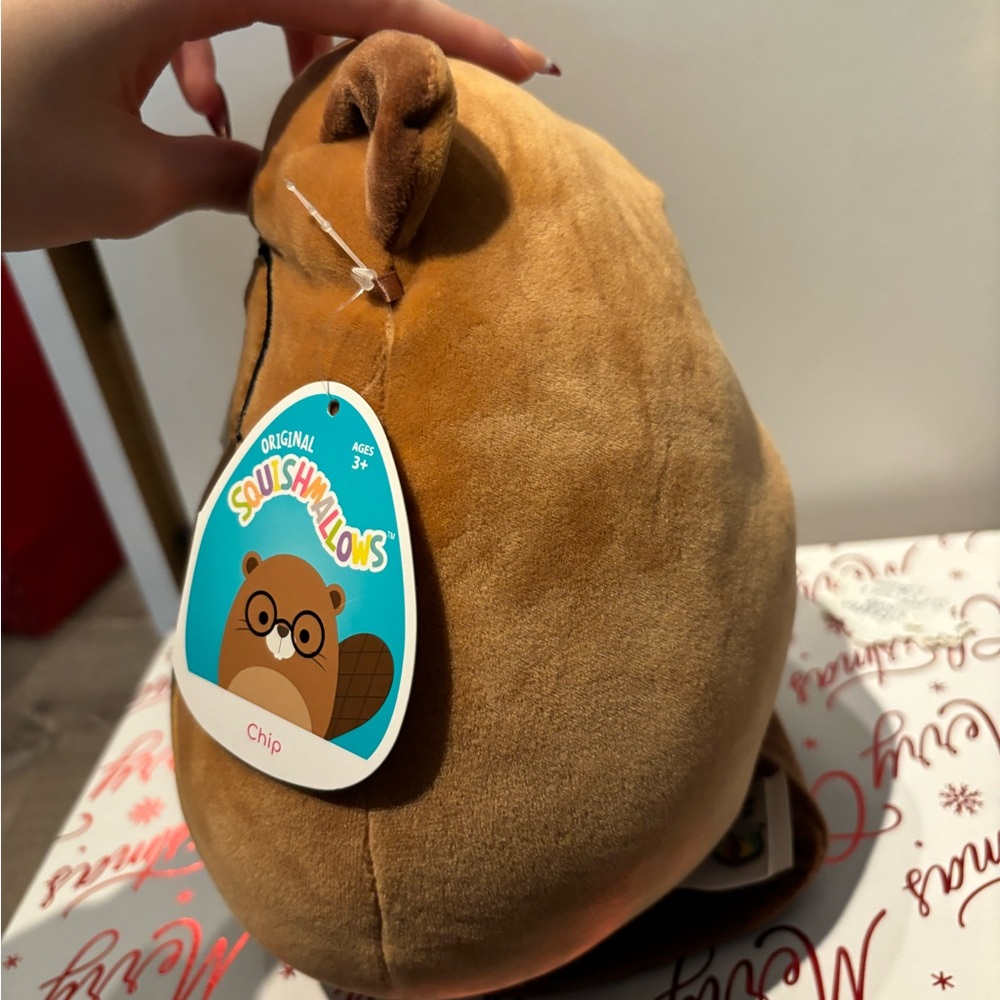 Beaver squishmallow - Picture 2 of 2